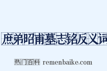 庶弟昭甫墓志铭反义词是什么意思的图片